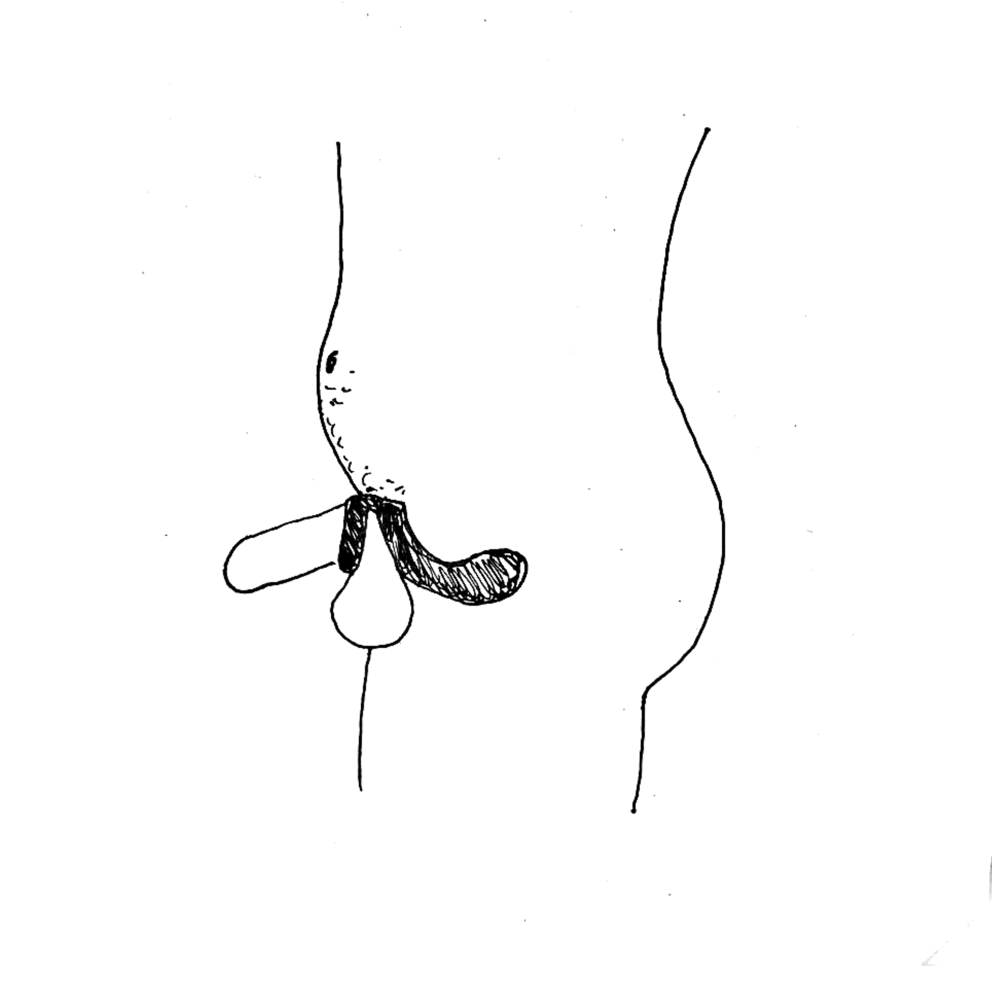 Penisring mit Perineum-Stimulation "Benedict" von Svakom – Bild 2