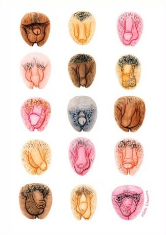 Postkarte You're Welcome Club - Penis Variety