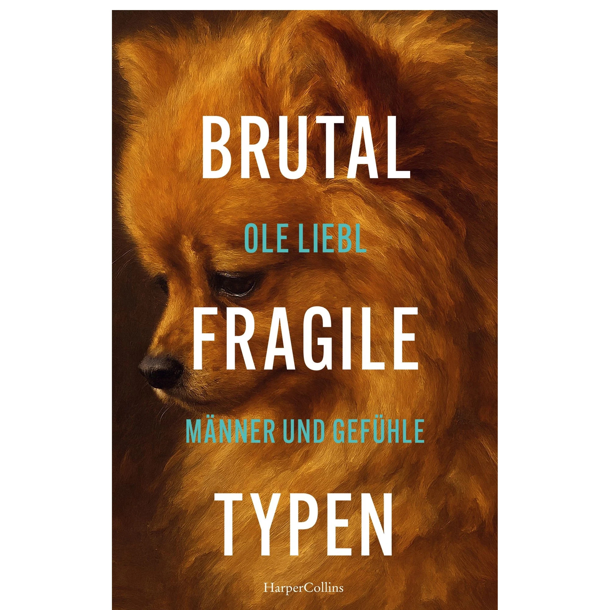 Buch "Brutal fragile Typen. Männer und Gefühle" – von Ole Liebl